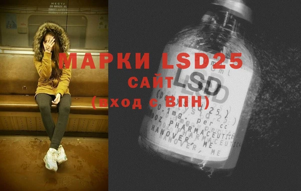 эйфоретик Аркадак