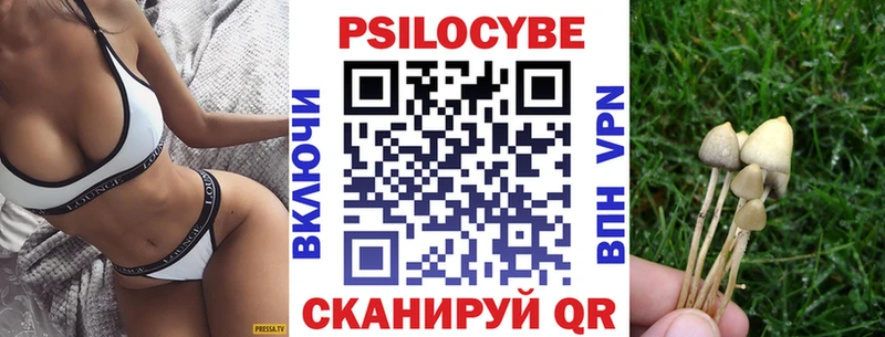 OMG tor  Пенза  Галлюциногенные грибы ЛСД 